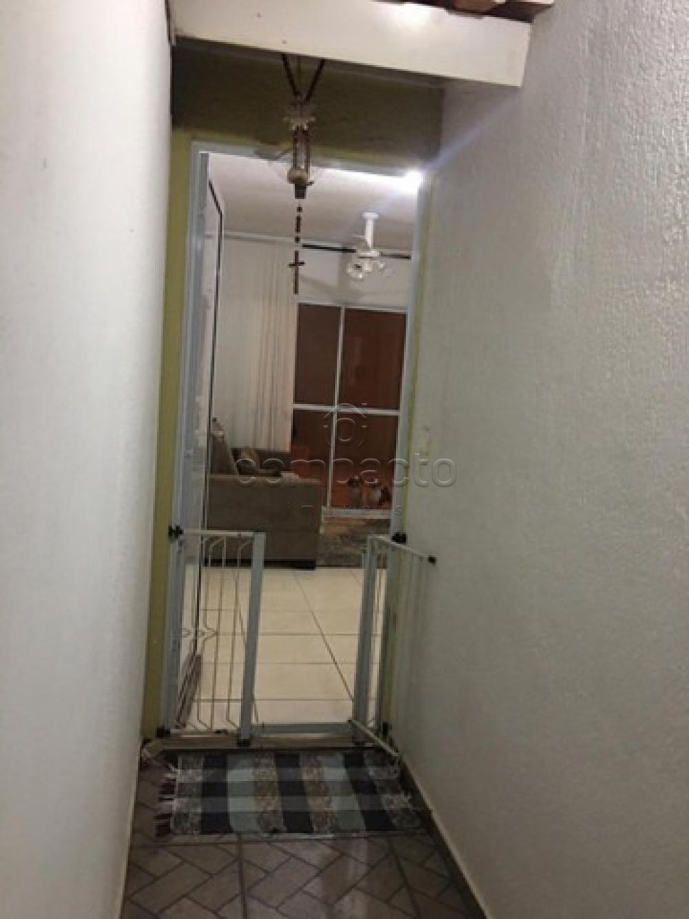 Comprar Casa / Condomínio em São José do Rio Preto apenas R$ 315.000,00 - Foto 3 Comprar Casa / Condomínio em São José do Rio Preto apenas R$ 315.000,00 - Foto 3