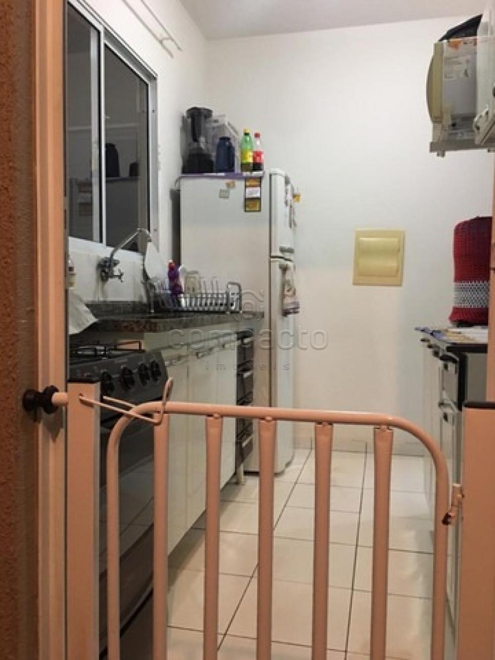 Comprar Casa / Condomínio em São José do Rio Preto apenas R$ 315.000,00 - Foto 9 Comprar Casa / Condomínio em São José do Rio Preto apenas R$ 315.000,00 - Foto 9
