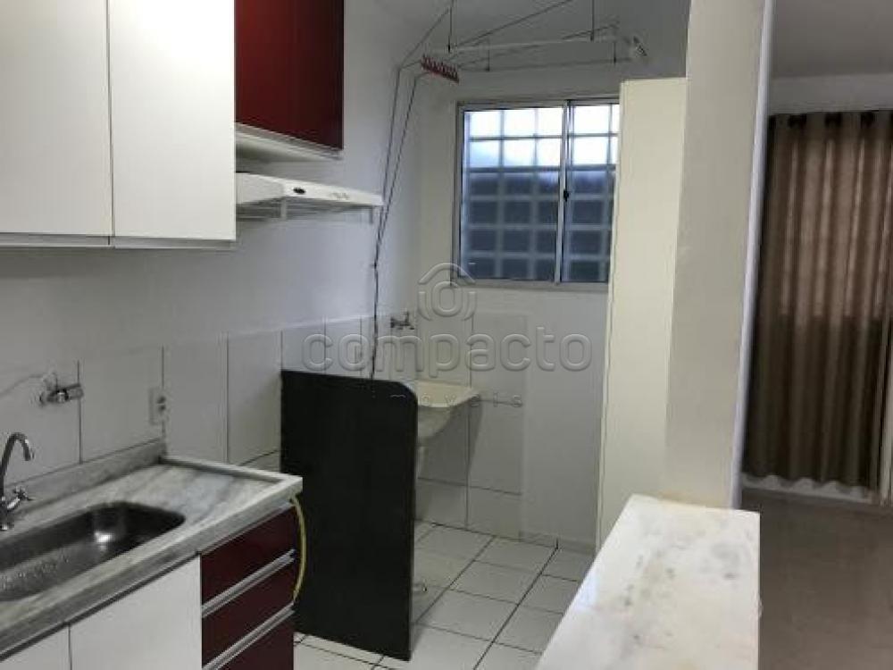 Alugar Apartamento / Padrão em São José do Rio Preto apenas R$ 600,00 - Foto 2 Alugar Apartamento / Padrão em São José do Rio Preto apenas R$ 600,00 - Foto 2