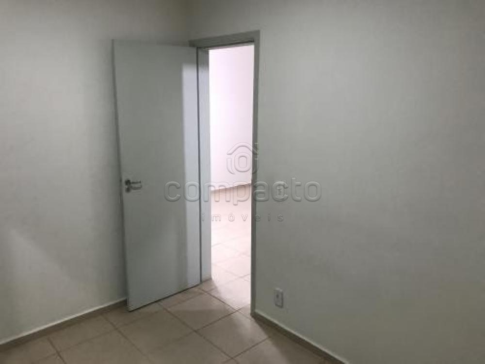 Alugar Apartamento / Padrão em São José do Rio Preto apenas R$ 600,00 - Foto 5 Alugar Apartamento / Padrão em São José do Rio Preto apenas R$ 600,00 - Foto 5