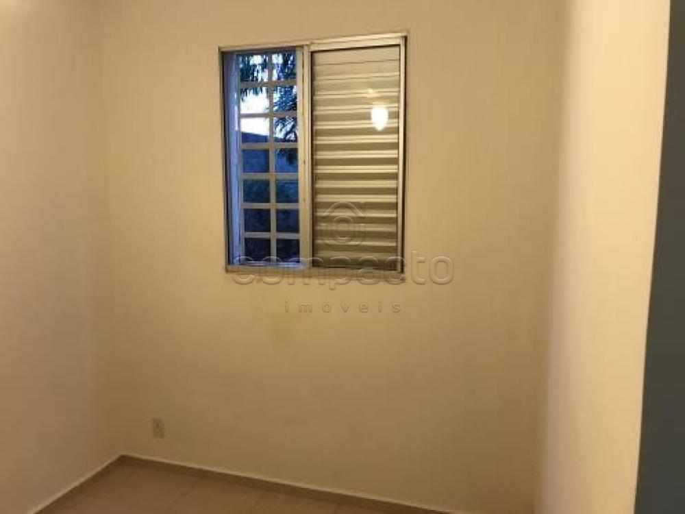 Alugar Apartamento / Padrão em São José do Rio Preto apenas R$ 600,00 - Foto 6 Alugar Apartamento / Padrão em São José do Rio Preto apenas R$ 600,00 - Foto 6