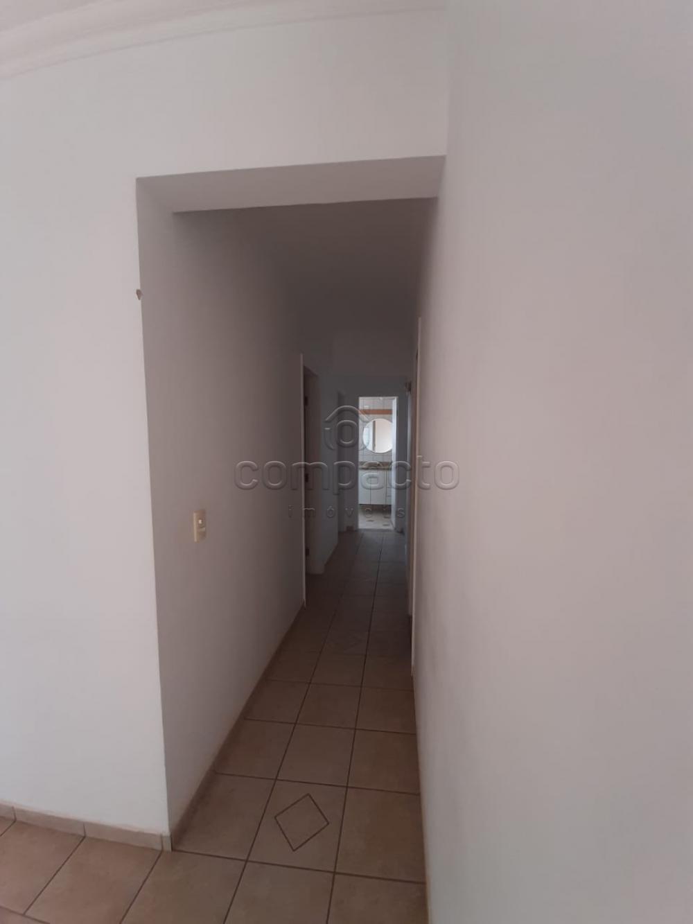 Alugar Apartamento / Padrão em São José do Rio Preto apenas R$ 1.500,00 - Foto 4 Alugar Apartamento / Padrão em São José do Rio Preto apenas R$ 1.500,00 - Foto 4
