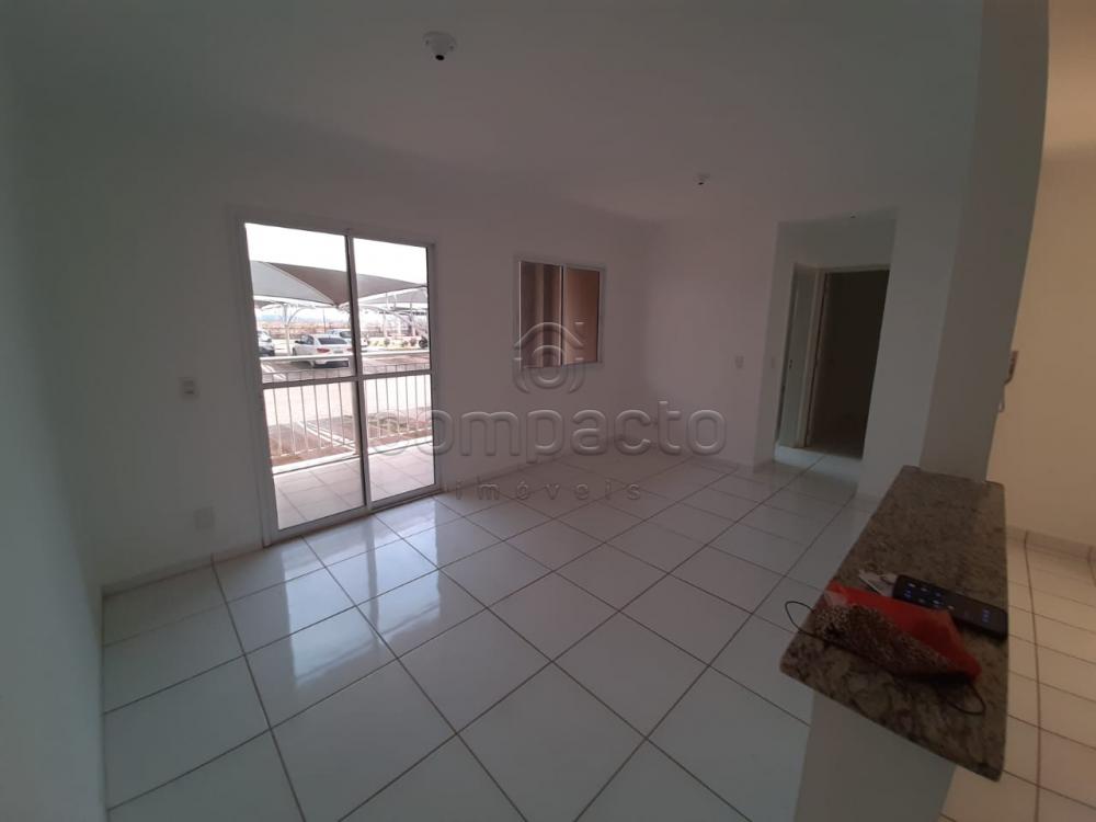 Alugar Apartamento / Padrão em São José do Rio Preto apenas R$ 1.150,00 - Foto 3 Alugar Apartamento / Padrão em São José do Rio Preto apenas R$ 1.150,00 - Foto 3