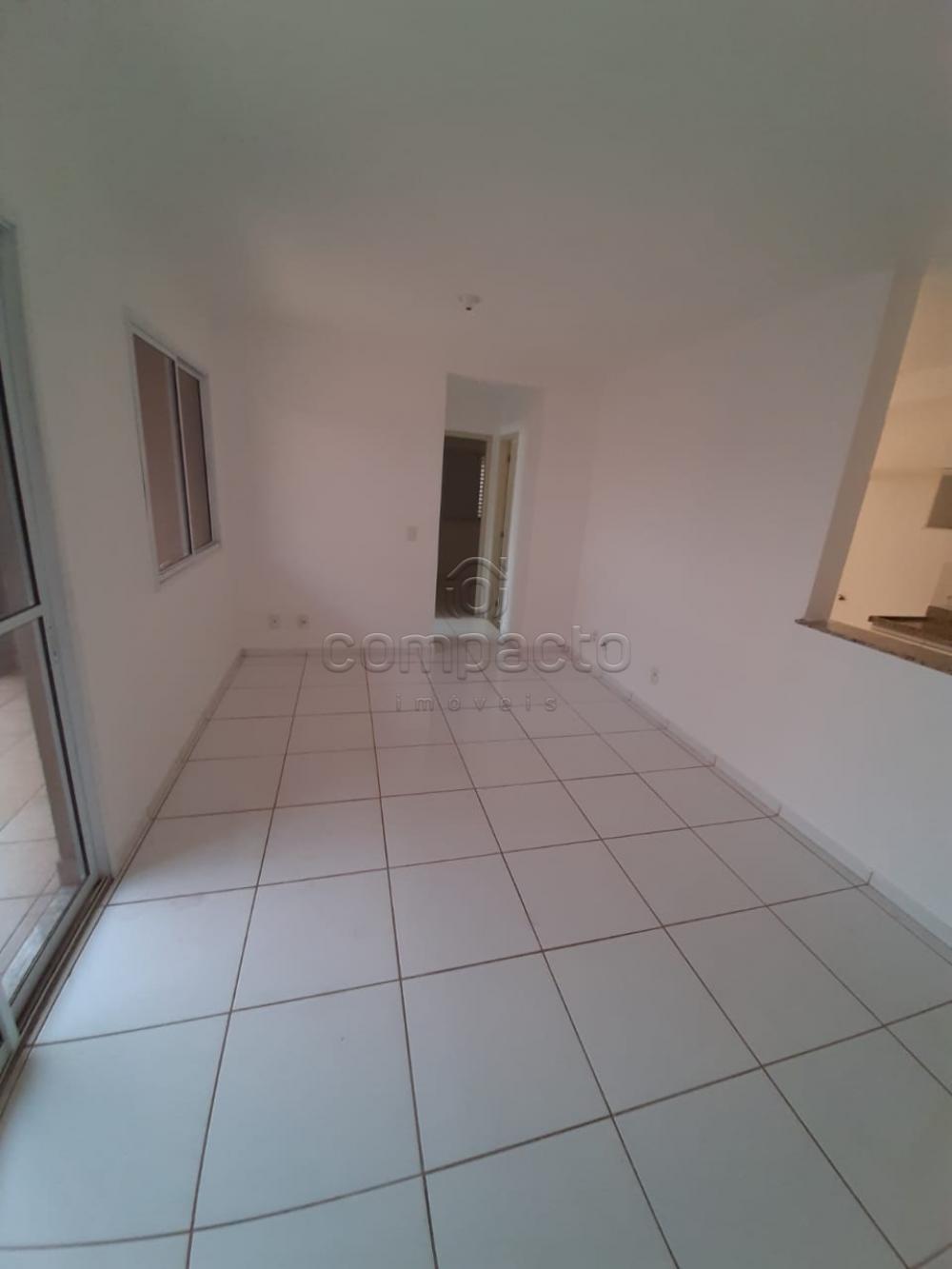 Alugar Apartamento / Padrão em São José do Rio Preto apenas R$ 1.150,00 - Foto 4 Alugar Apartamento / Padrão em São José do Rio Preto apenas R$ 1.150,00 - Foto 4