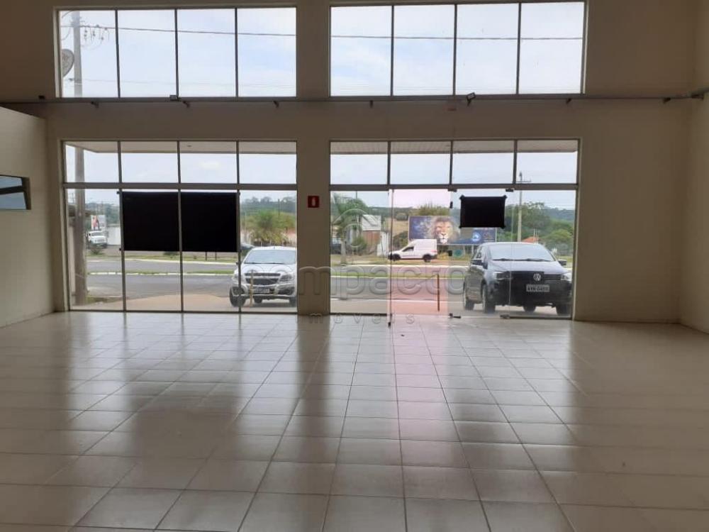 Alugar Comercial / Salão em Bady Bassitt apenas R$ 5.000,00 - Foto 2 Alugar Comercial / Salão em Bady Bassitt apenas R$ 5.000,00 - Foto 2