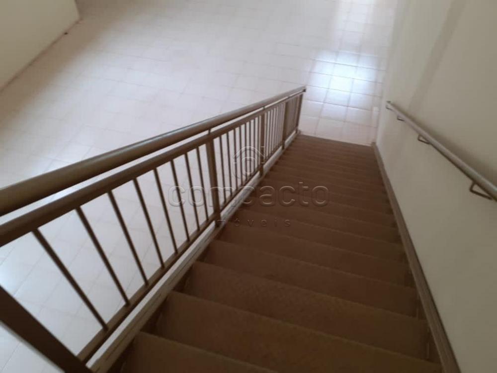 Alugar Comercial / Salão em Bady Bassitt apenas R$ 5.000,00 - Foto 12 Alugar Comercial / Salão em Bady Bassitt apenas R$ 5.000,00 - Foto 12
