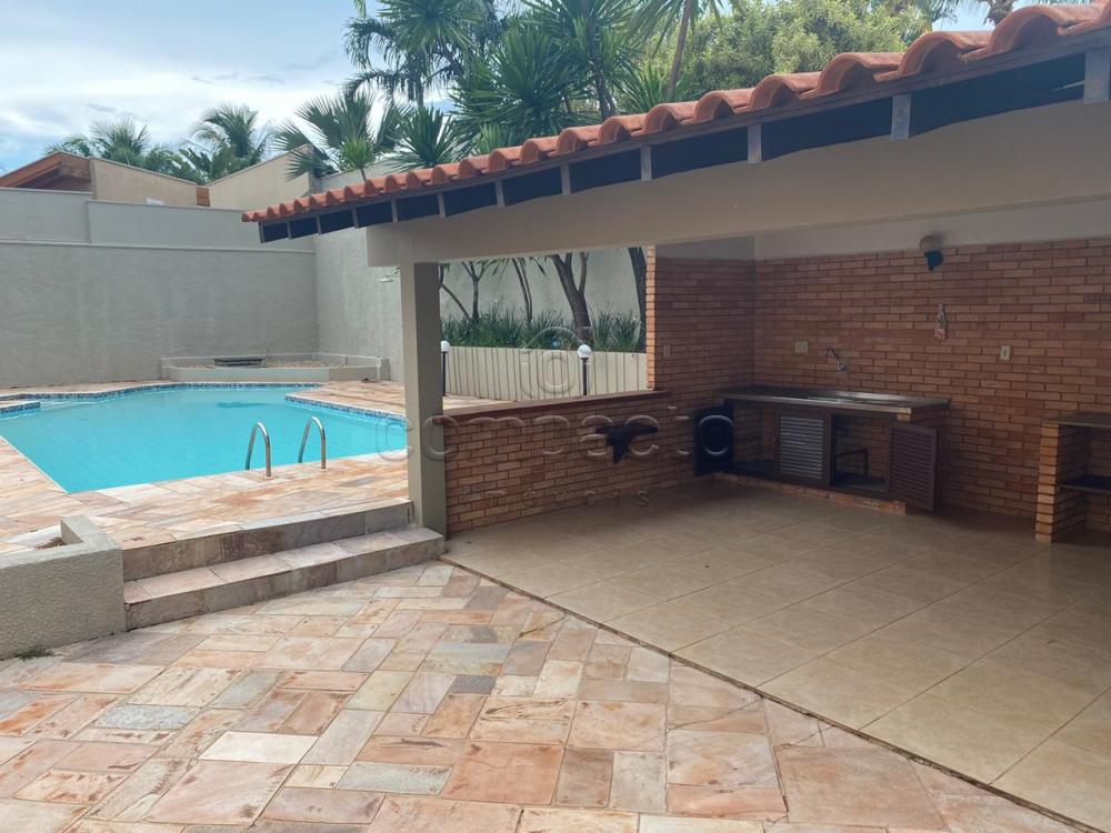 Alugar Casa / Condomínio em São José do Rio Preto apenas R$ 7.500,00 - Foto 1 Alugar Casa / Condomínio em São José do Rio Preto apenas R$ 7.500,00 - Foto 1