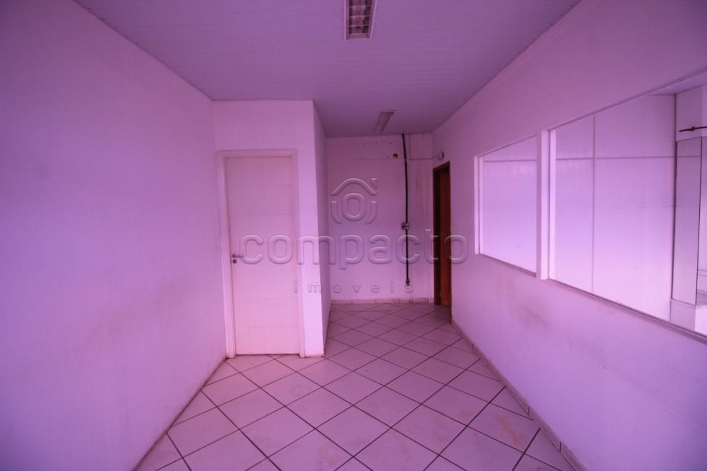 Alugar Comercial / Prédio em São José do Rio Preto apenas R$ 9.000,00 - Foto 11 Alugar Comercial / Prédio em São José do Rio Preto apenas R$ 9.000,00 - Foto 11