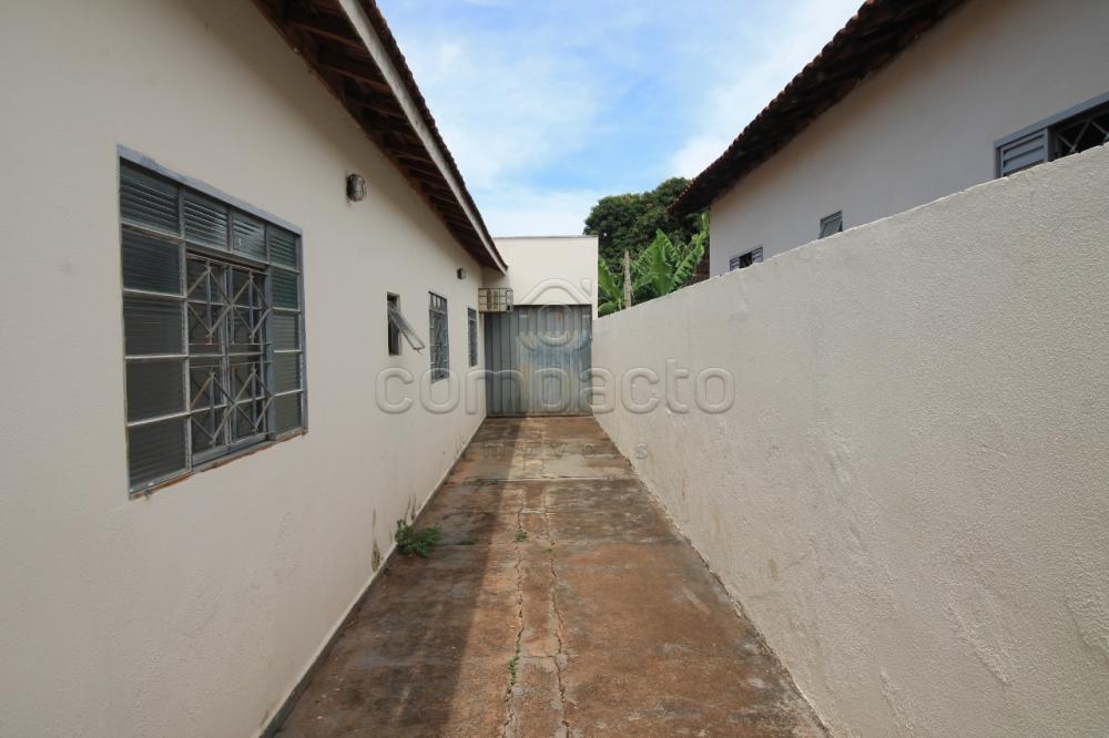Alugar Casa / Padrão em São José do Rio Preto apenas R$ 1.200,00 - Foto 3 Alugar Casa / Padrão em São José do Rio Preto apenas R$ 1.200,00 - Foto 3
