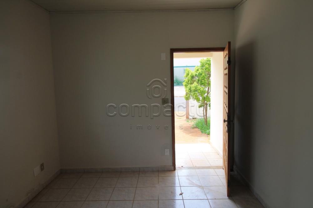 Alugar Casa / Padrão em São José do Rio Preto apenas R$ 1.200,00 - Foto 4 Alugar Casa / Padrão em São José do Rio Preto apenas R$ 1.200,00 - Foto 4