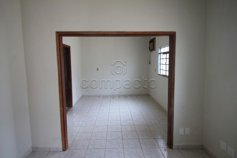 Alugar Casa / Padrão em São José do Rio Preto apenas R$ 1.200,00 - Foto 5 Alugar Casa / Padrão em São José do Rio Preto apenas R$ 1.200,00 - Foto 5