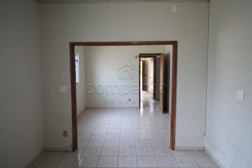 Alugar Casa / Padrão em São José do Rio Preto apenas R$ 1.200,00 - Foto 6 Alugar Casa / Padrão em São José do Rio Preto apenas R$ 1.200,00 - Foto 6