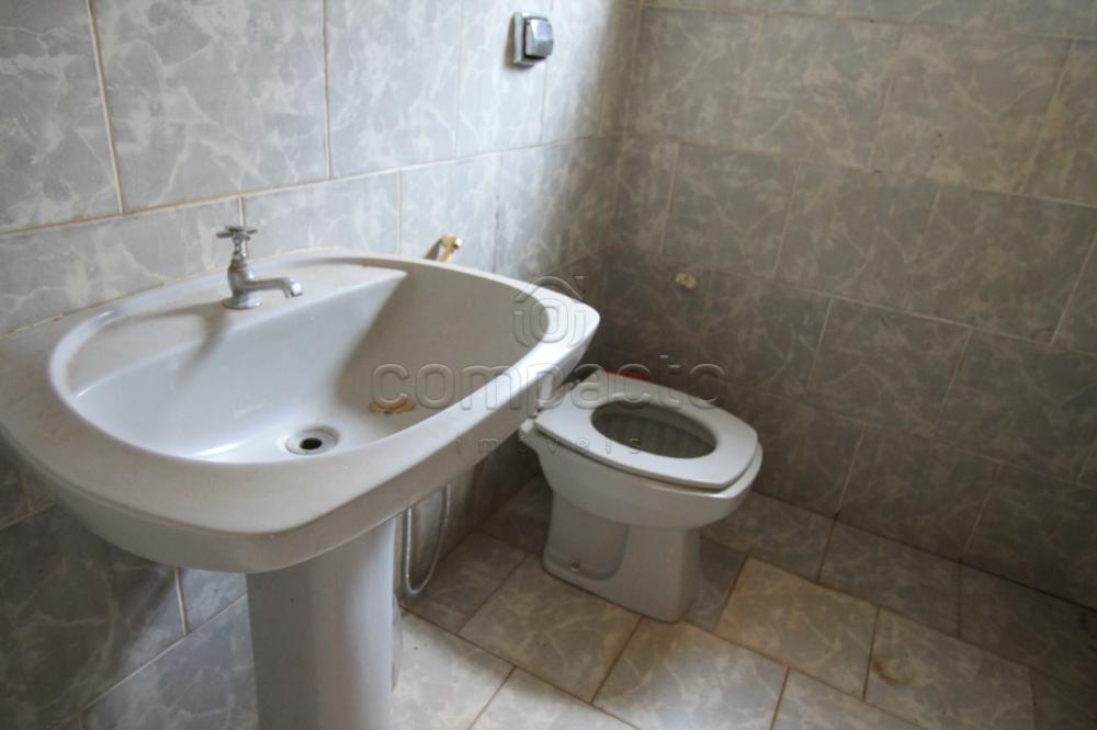Alugar Casa / Padrão em São José do Rio Preto apenas R$ 1.200,00 - Foto 11 Alugar Casa / Padrão em São José do Rio Preto apenas R$ 1.200,00 - Foto 11