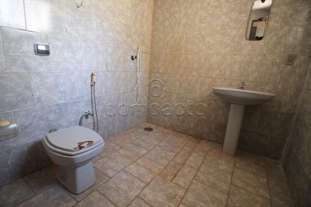 Alugar Casa / Padrão em São José do Rio Preto apenas R$ 1.200,00 - Foto 13 Alugar Casa / Padrão em São José do Rio Preto apenas R$ 1.200,00 - Foto 13