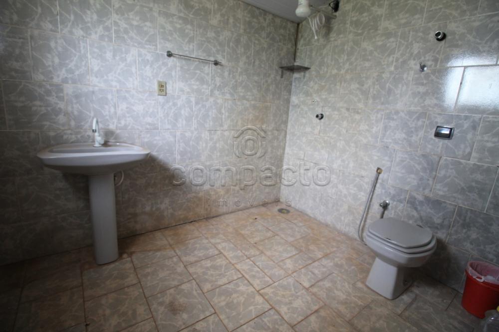 Alugar Casa / Padrão em São José do Rio Preto apenas R$ 1.200,00 - Foto 16 Alugar Casa / Padrão em São José do Rio Preto apenas R$ 1.200,00 - Foto 16