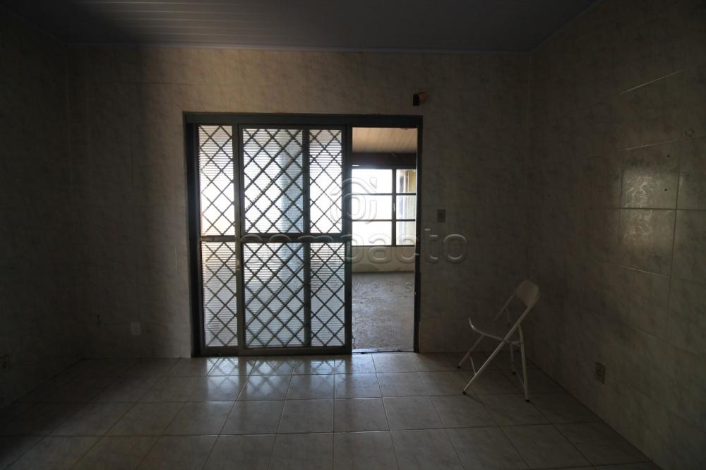 Alugar Casa / Padrão em São José do Rio Preto apenas R$ 1.200,00 - Foto 18 Alugar Casa / Padrão em São José do Rio Preto apenas R$ 1.200,00 - Foto 18