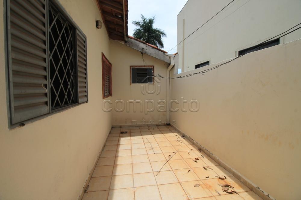 Alugar Casa / Padrão em São José do Rio Preto apenas R$ 1.200,00 - Foto 21 Alugar Casa / Padrão em São José do Rio Preto apenas R$ 1.200,00 - Foto 21