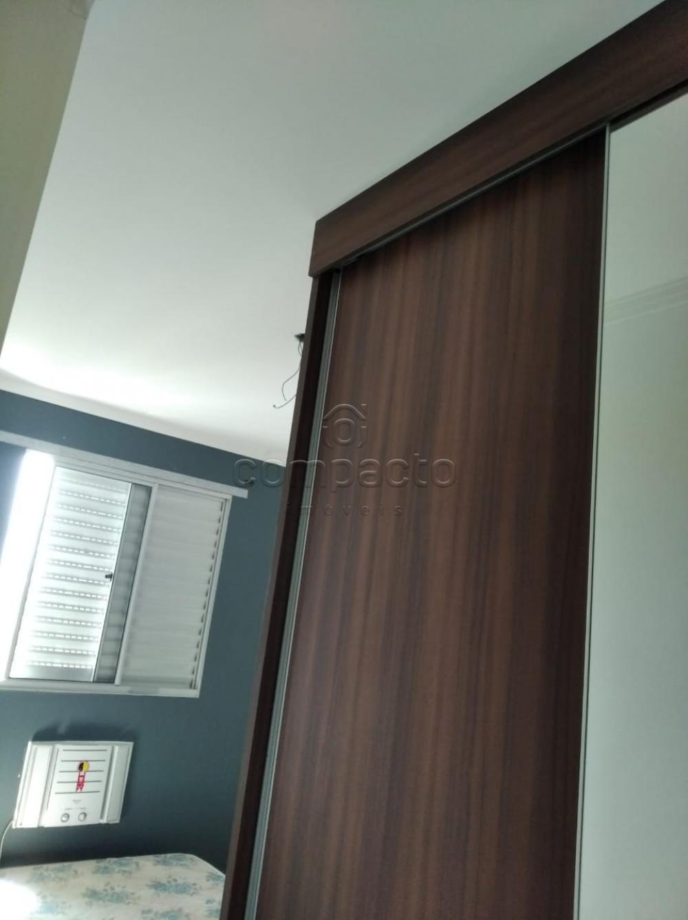 Alugar Apartamento / Padrão em São José do Rio Preto apenas R$ 650,00 - Foto 2 Alugar Apartamento / Padrão em São José do Rio Preto apenas R$ 650,00 - Foto 2
