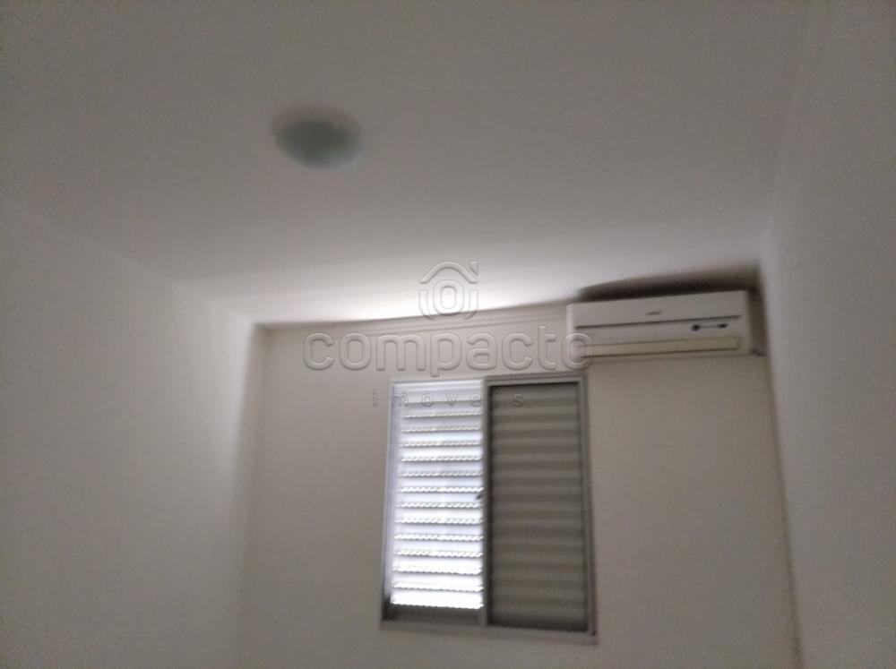 Alugar Apartamento / Padrão em São José do Rio Preto apenas R$ 650,00 - Foto 3 Alugar Apartamento / Padrão em São José do Rio Preto apenas R$ 650,00 - Foto 3
