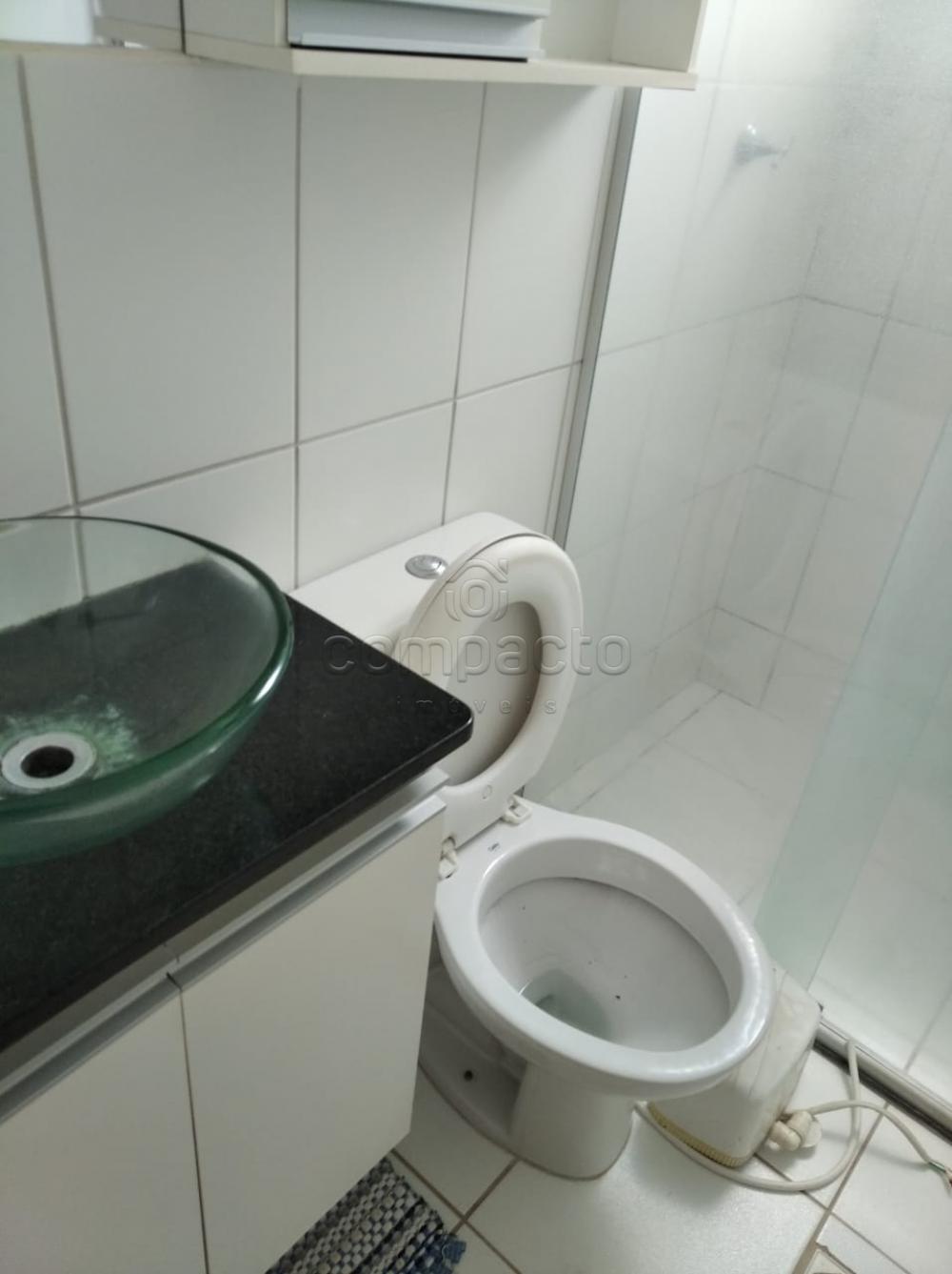 Alugar Apartamento / Padrão em São José do Rio Preto apenas R$ 650,00 - Foto 4 Alugar Apartamento / Padrão em São José do Rio Preto apenas R$ 650,00 - Foto 4