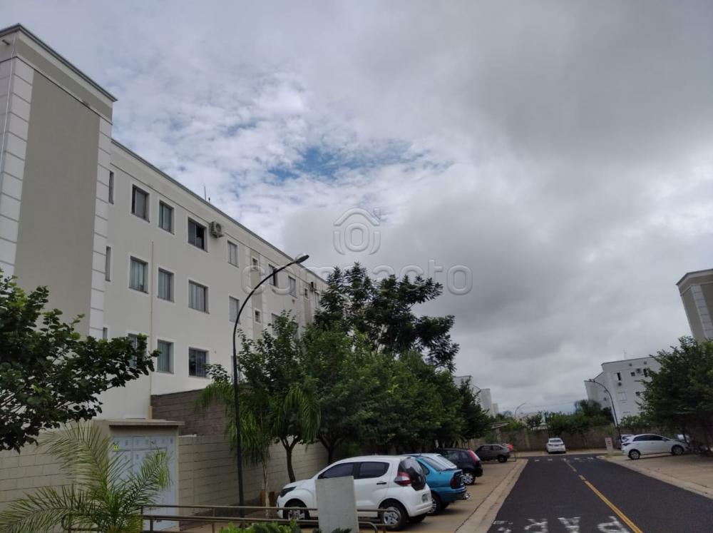 Alugar Apartamento / Padrão em São José do Rio Preto apenas R$ 650,00 - Foto 9 Alugar Apartamento / Padrão em São José do Rio Preto apenas R$ 650,00 - Foto 9