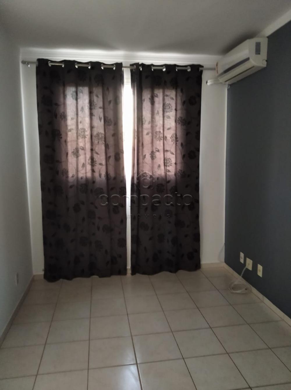 Alugar Apartamento / Padrão em São José do Rio Preto apenas R$ 650,00 - Foto 1 Alugar Apartamento / Padrão em São José do Rio Preto apenas R$ 650,00 - Foto 1