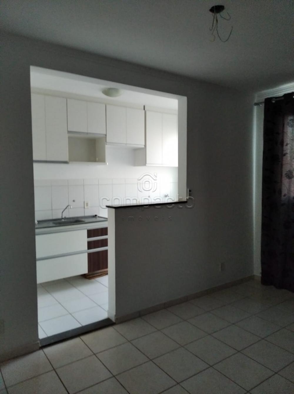Alugar Apartamento / Padrão em São José do Rio Preto apenas R$ 650,00 - Foto 6 Alugar Apartamento / Padrão em São José do Rio Preto apenas R$ 650,00 - Foto 6