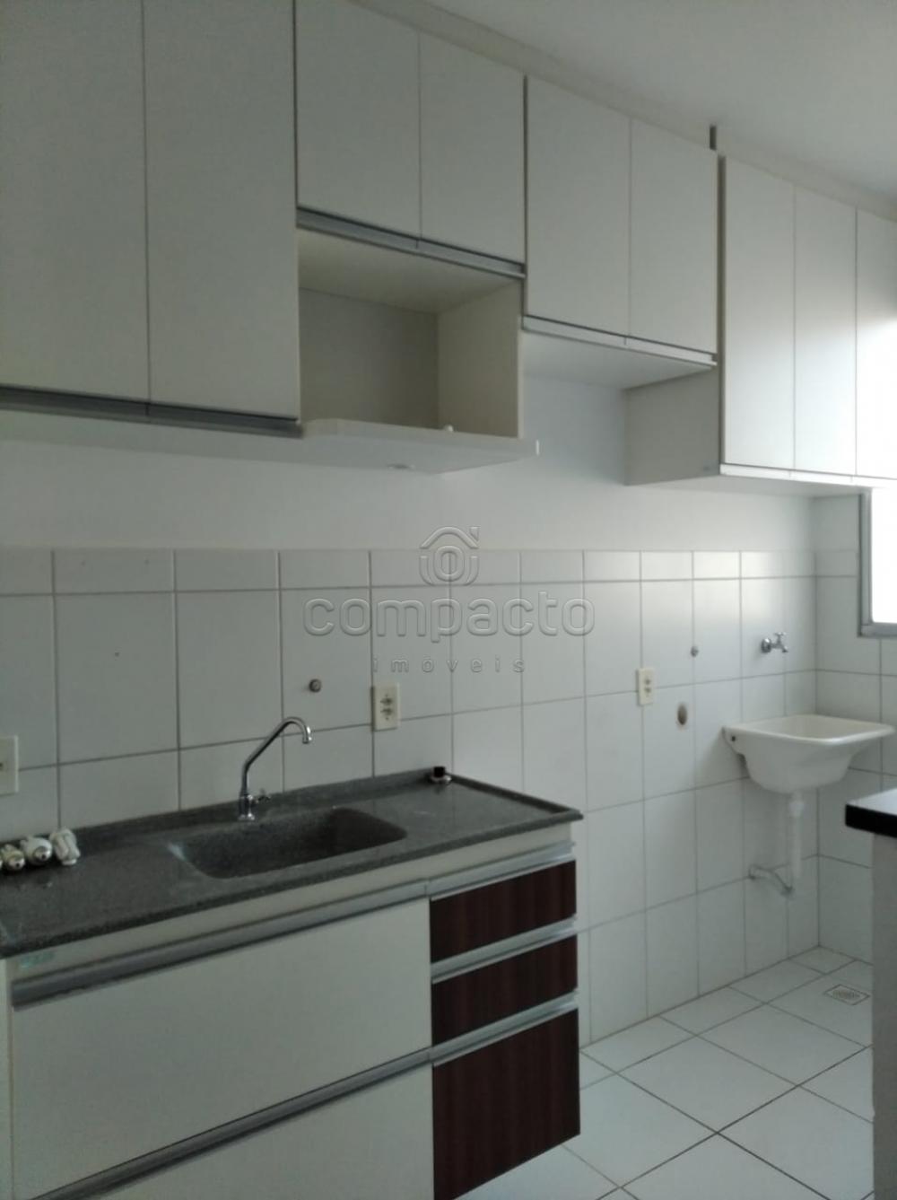 Alugar Apartamento / Padrão em São José do Rio Preto apenas R$ 650,00 - Foto 7 Alugar Apartamento / Padrão em São José do Rio Preto apenas R$ 650,00 - Foto 7
