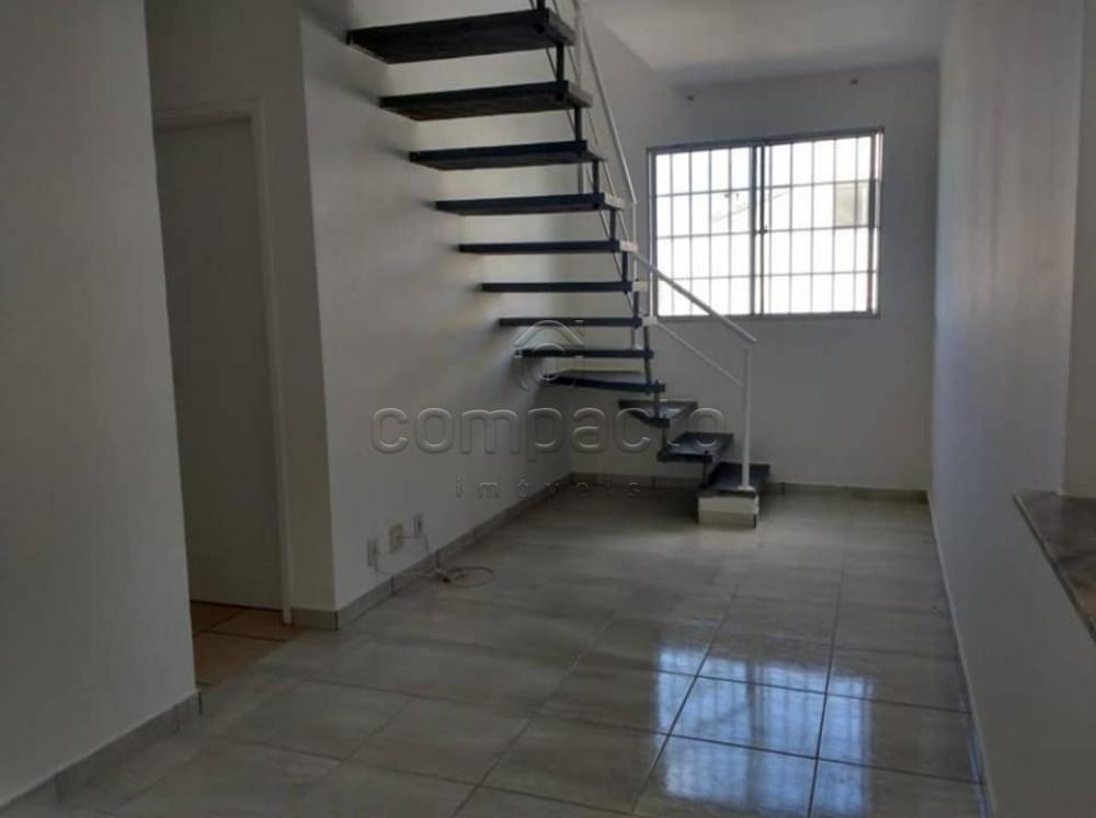 Alugar Apartamento / Cobertura em São José do Rio Preto apenas R$ 1.400,00 - Foto 1 Alugar Apartamento / Cobertura em São José do Rio Preto apenas R$ 1.400,00 - Foto 1