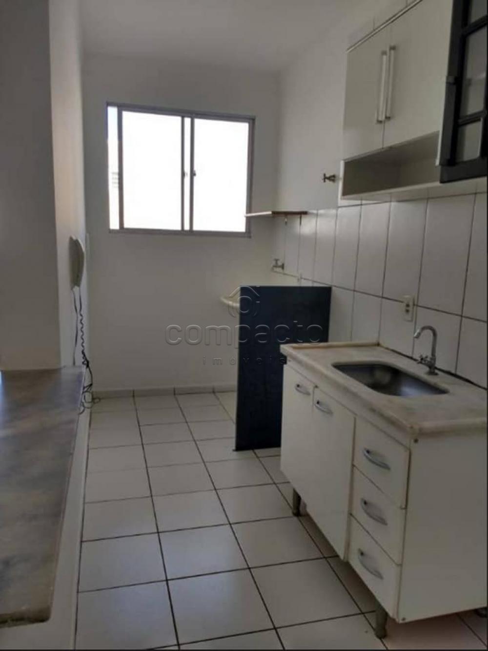 Alugar Apartamento / Cobertura em São José do Rio Preto apenas R$ 1.400,00 - Foto 3 Alugar Apartamento / Cobertura em São José do Rio Preto apenas R$ 1.400,00 - Foto 3