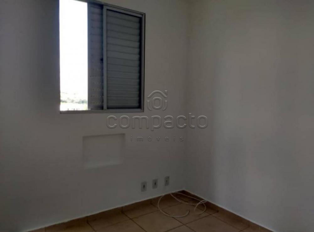Alugar Apartamento / Cobertura em São José do Rio Preto apenas R$ 1.400,00 - Foto 4 Alugar Apartamento / Cobertura em São José do Rio Preto apenas R$ 1.400,00 - Foto 4