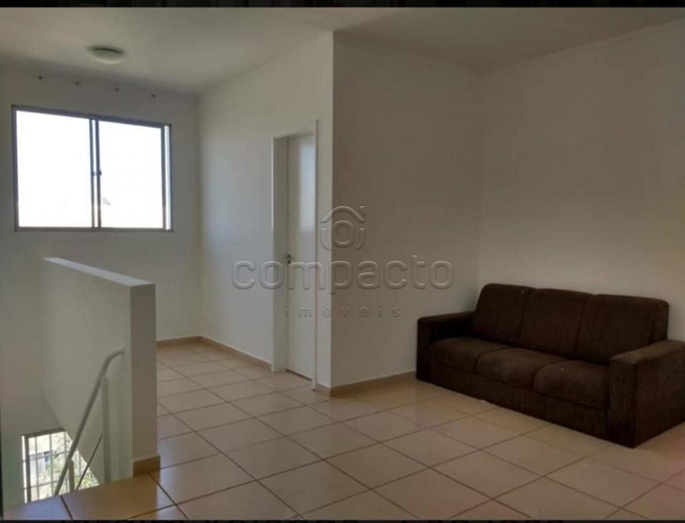 Alugar Apartamento / Cobertura em São José do Rio Preto apenas R$ 1.400,00 - Foto 5 Alugar Apartamento / Cobertura em São José do Rio Preto apenas R$ 1.400,00 - Foto 5