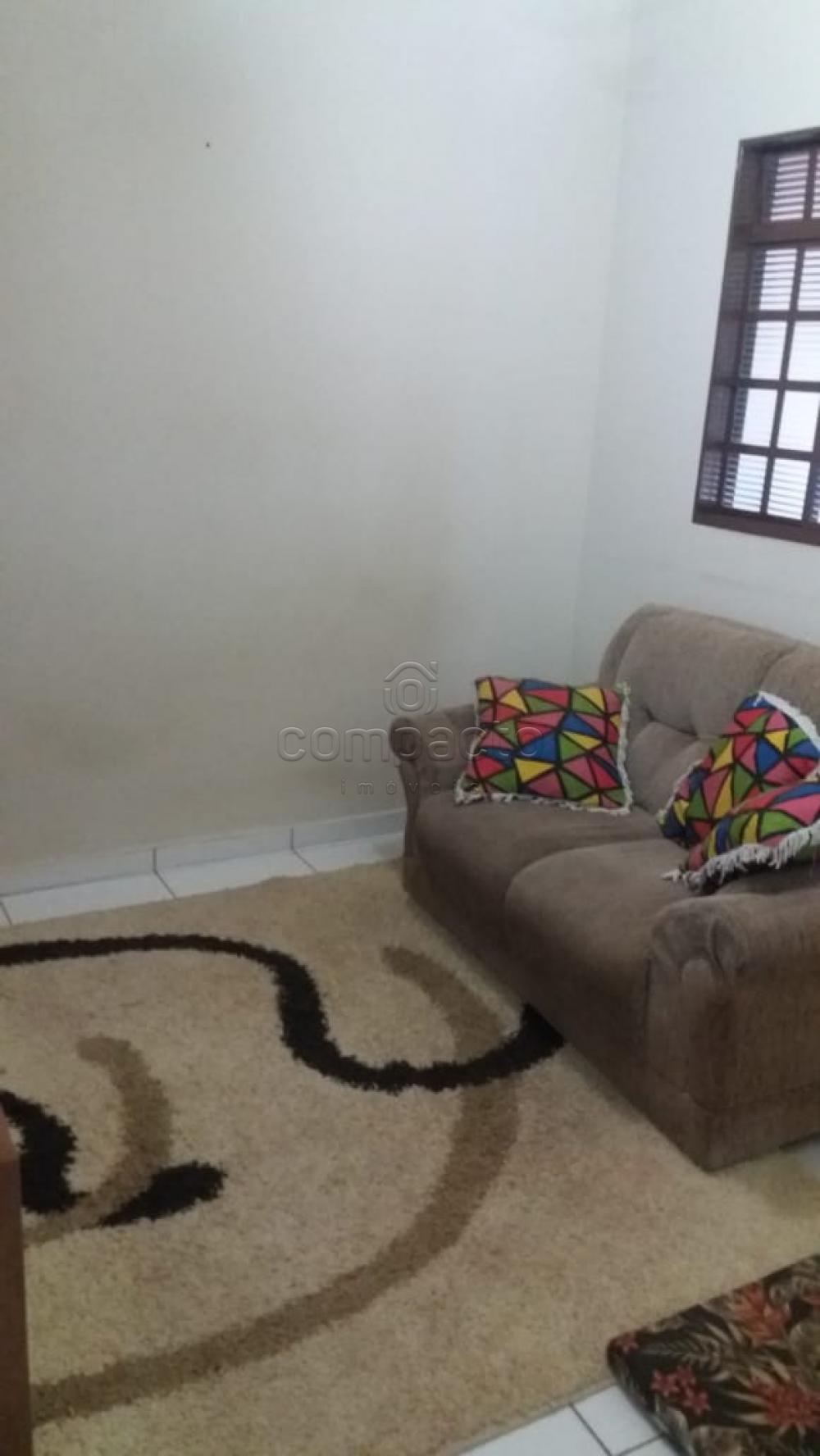 Comprar Casa / Padrão em São José do Rio Preto apenas R$ 315.000,00 - Foto 3 Comprar Casa / Padrão em São José do Rio Preto apenas R$ 315.000,00 - Foto 3