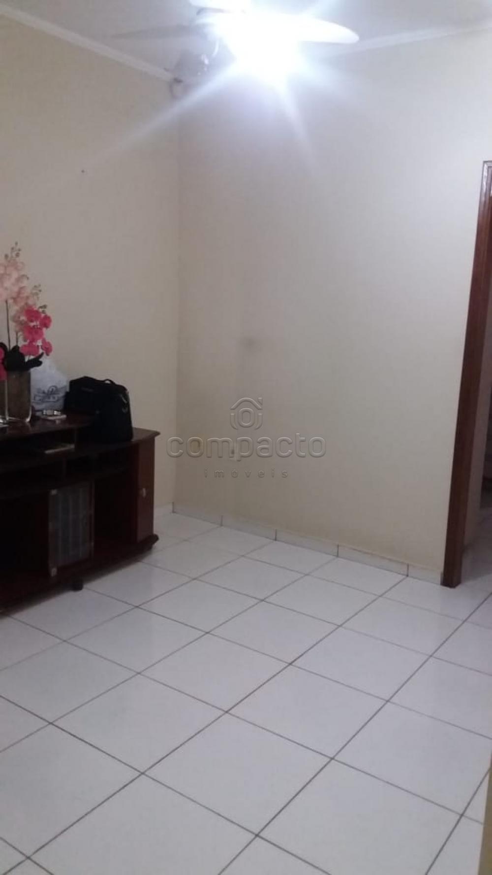 Comprar Casa / Padrão em São José do Rio Preto apenas R$ 315.000,00 - Foto 4 Comprar Casa / Padrão em São José do Rio Preto apenas R$ 315.000,00 - Foto 4