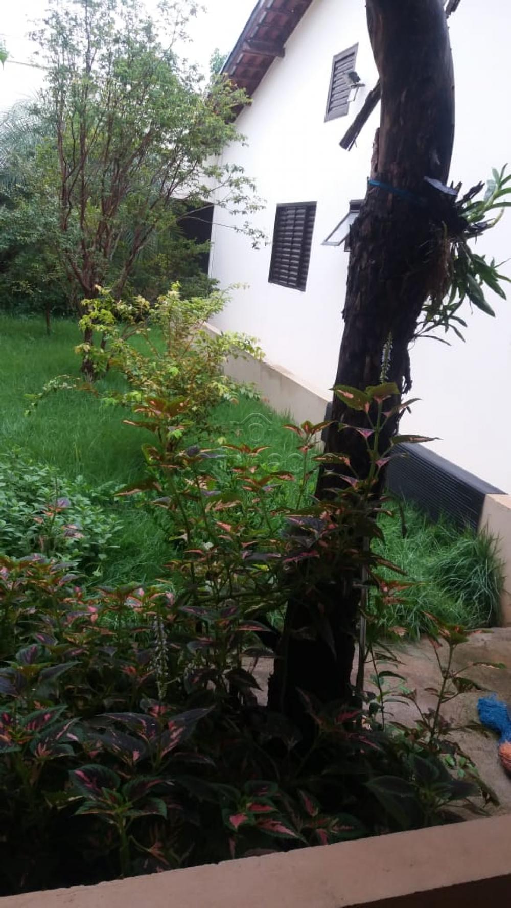 Comprar Casa / Padrão em São José do Rio Preto apenas R$ 315.000,00 - Foto 12 Comprar Casa / Padrão em São José do Rio Preto apenas R$ 315.000,00 - Foto 12