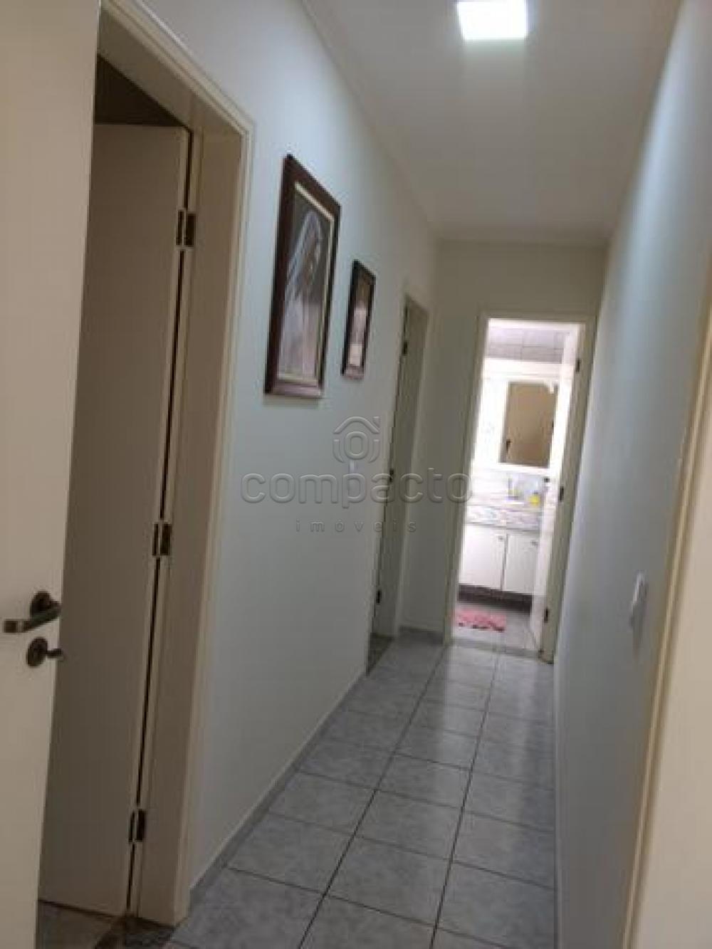 Comprar Apartamento / Padrão em São José do Rio Preto apenas R$ 330.000,00 - Foto 3 Comprar Apartamento / Padrão em São José do Rio Preto apenas R$ 330.000,00 - Foto 3