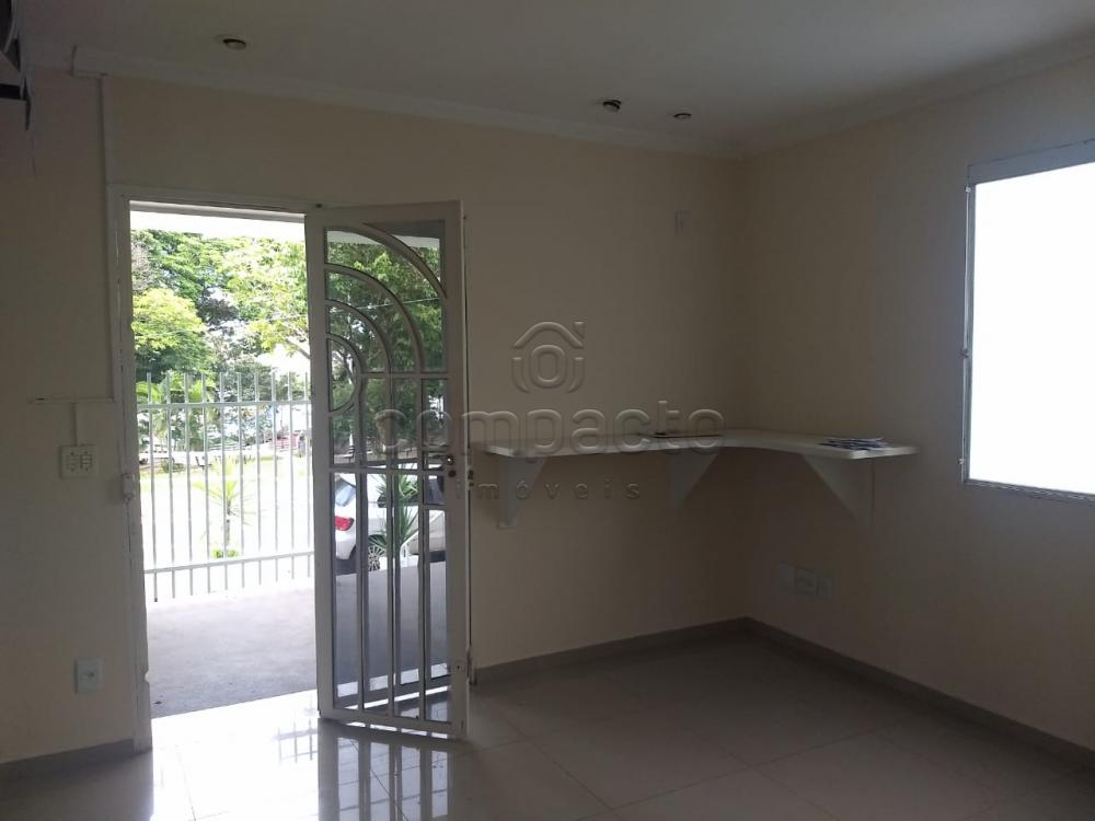Alugar Comercial / Casa em São José do Rio Preto apenas R$ 2.200,00 - Foto 4 Alugar Comercial / Casa em São José do Rio Preto apenas R$ 2.200,00 - Foto 4