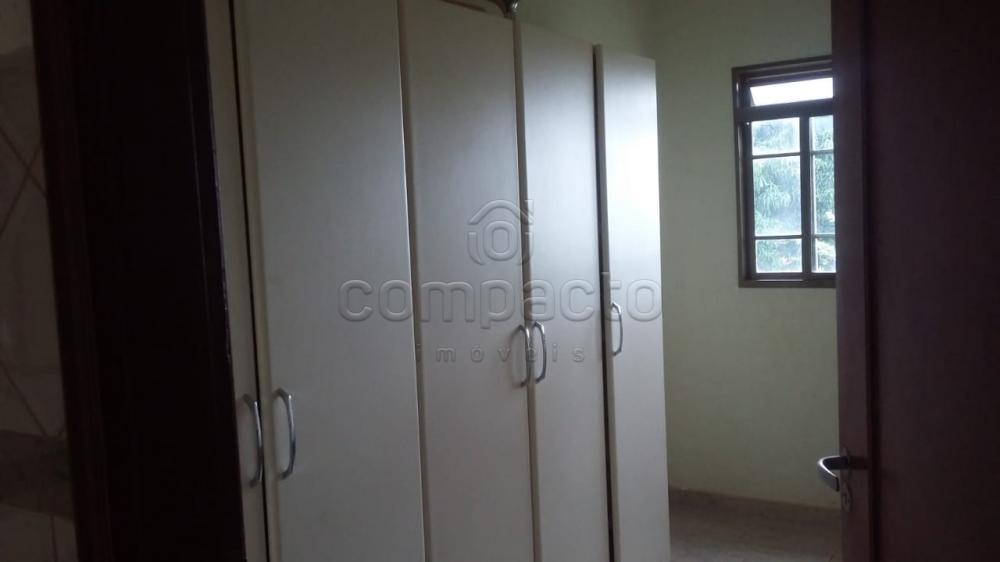 Comprar Rural / Chácara em Neves Paulista apenas R$ 900.000,00 - Foto 16 Comprar Rural / Chácara em Neves Paulista apenas R$ 900.000,00 - Foto 16