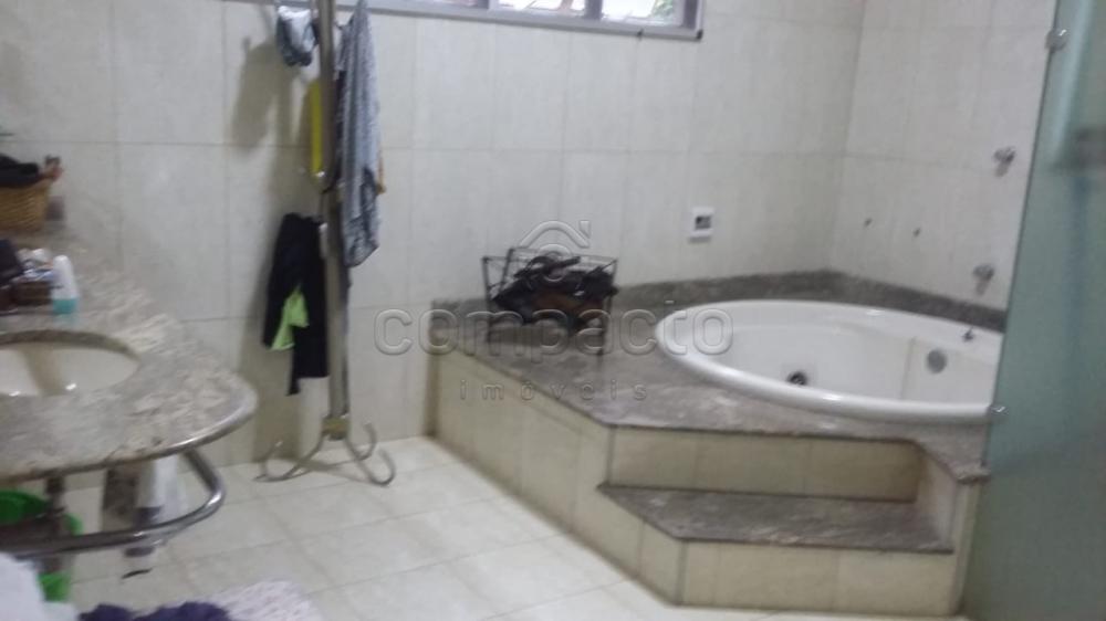 Comprar Rural / Chácara em Neves Paulista apenas R$ 900.000,00 - Foto 17 Comprar Rural / Chácara em Neves Paulista apenas R$ 900.000,00 - Foto 17