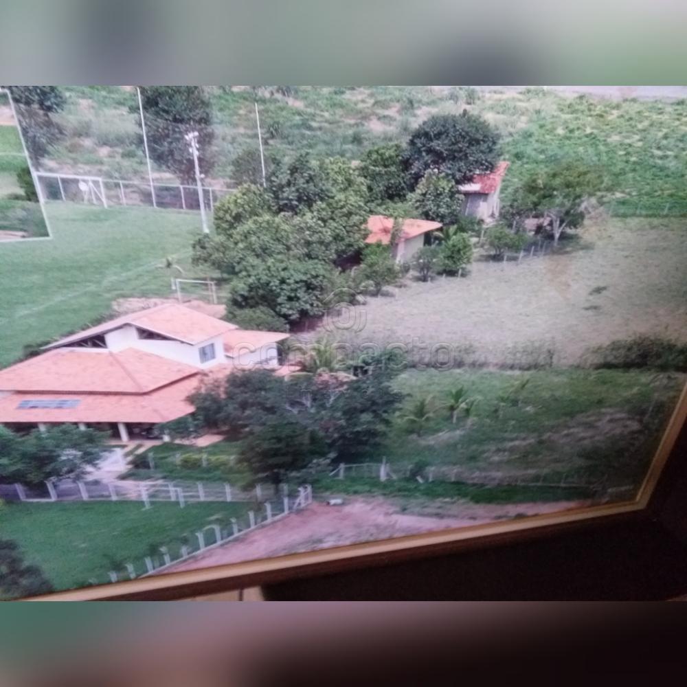 Comprar Rural / Chácara em Neves Paulista apenas R$ 900.000,00 - Foto 22 Comprar Rural / Chácara em Neves Paulista apenas R$ 900.000,00 - Foto 22