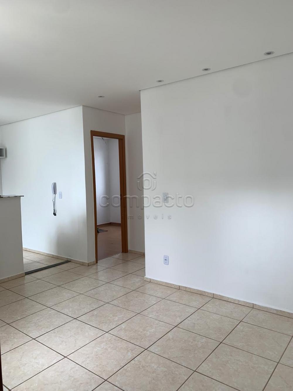 Comprar Apartamento / Padrão em São José do Rio Preto apenas R$ 160.000,00 - Foto 1 Comprar Apartamento / Padrão em São José do Rio Preto apenas R$ 160.000,00 - Foto 1