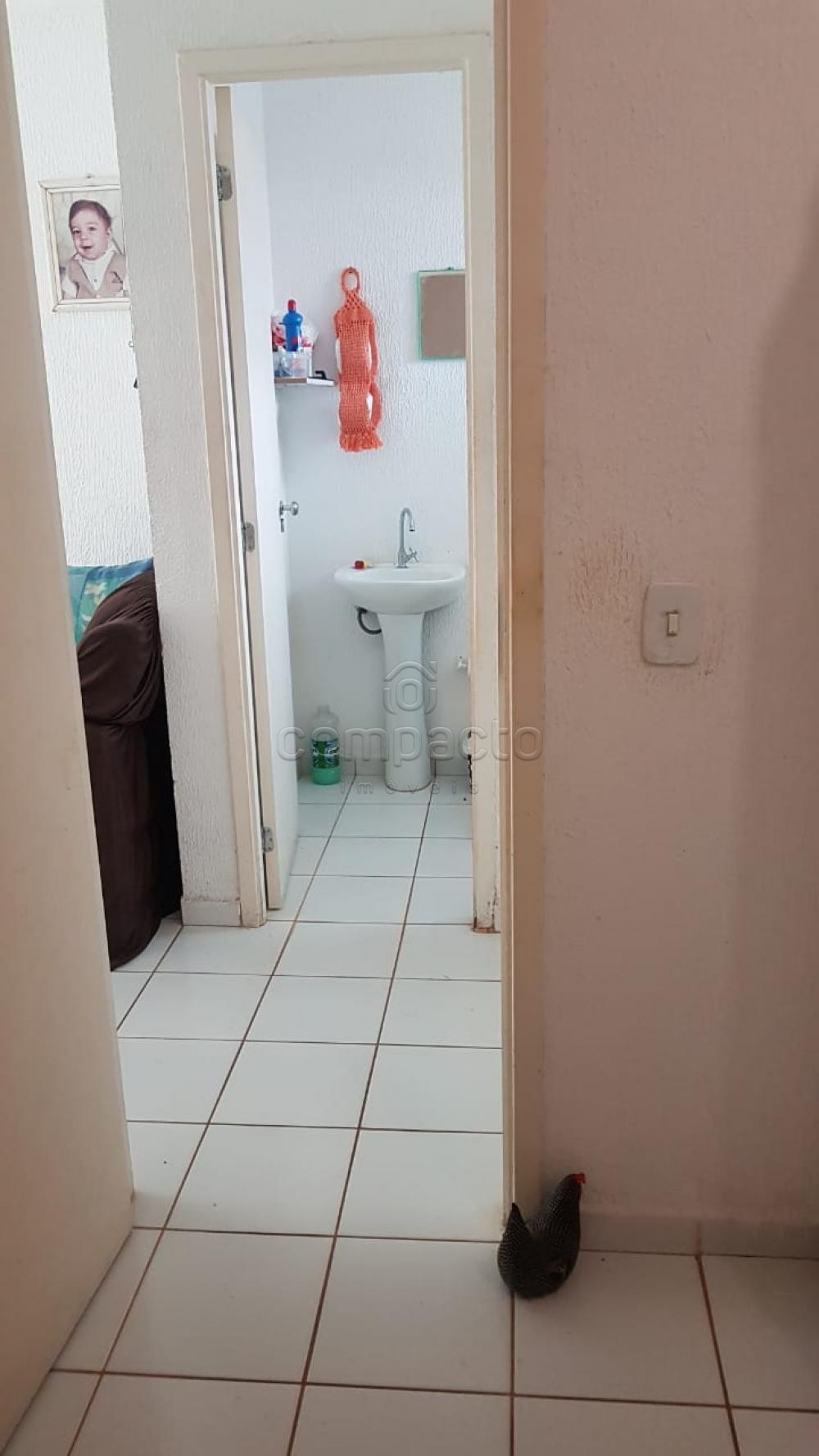 Comprar Casa / Condomínio em São José do Rio Preto apenas R$ 150.000,00 - Foto 6 Comprar Casa / Condomínio em São José do Rio Preto apenas R$ 150.000,00 - Foto 6