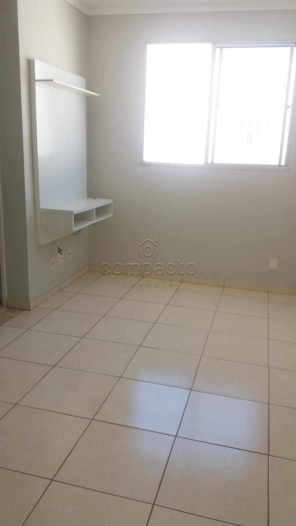 Alugar Apartamento / Padrão em São José do Rio Preto apenas R$ 720,00 - Foto 1 Alugar Apartamento / Padrão em São José do Rio Preto apenas R$ 720,00 - Foto 1