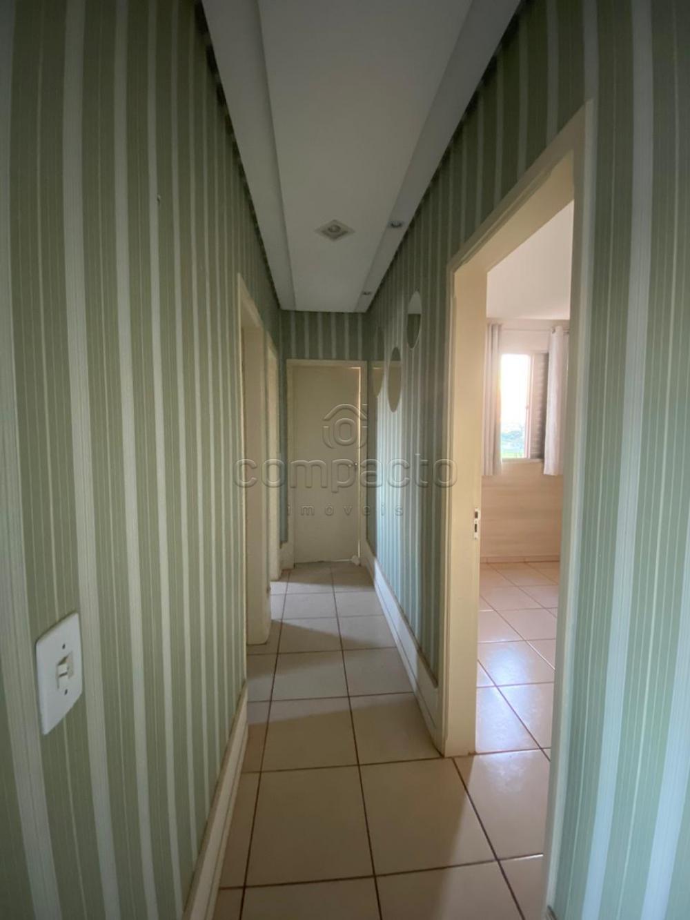Alugar Apartamento / Padrão em São José do Rio Preto apenas R$ 1.250,00 - Foto 5 Alugar Apartamento / Padrão em São José do Rio Preto apenas R$ 1.250,00 - Foto 5