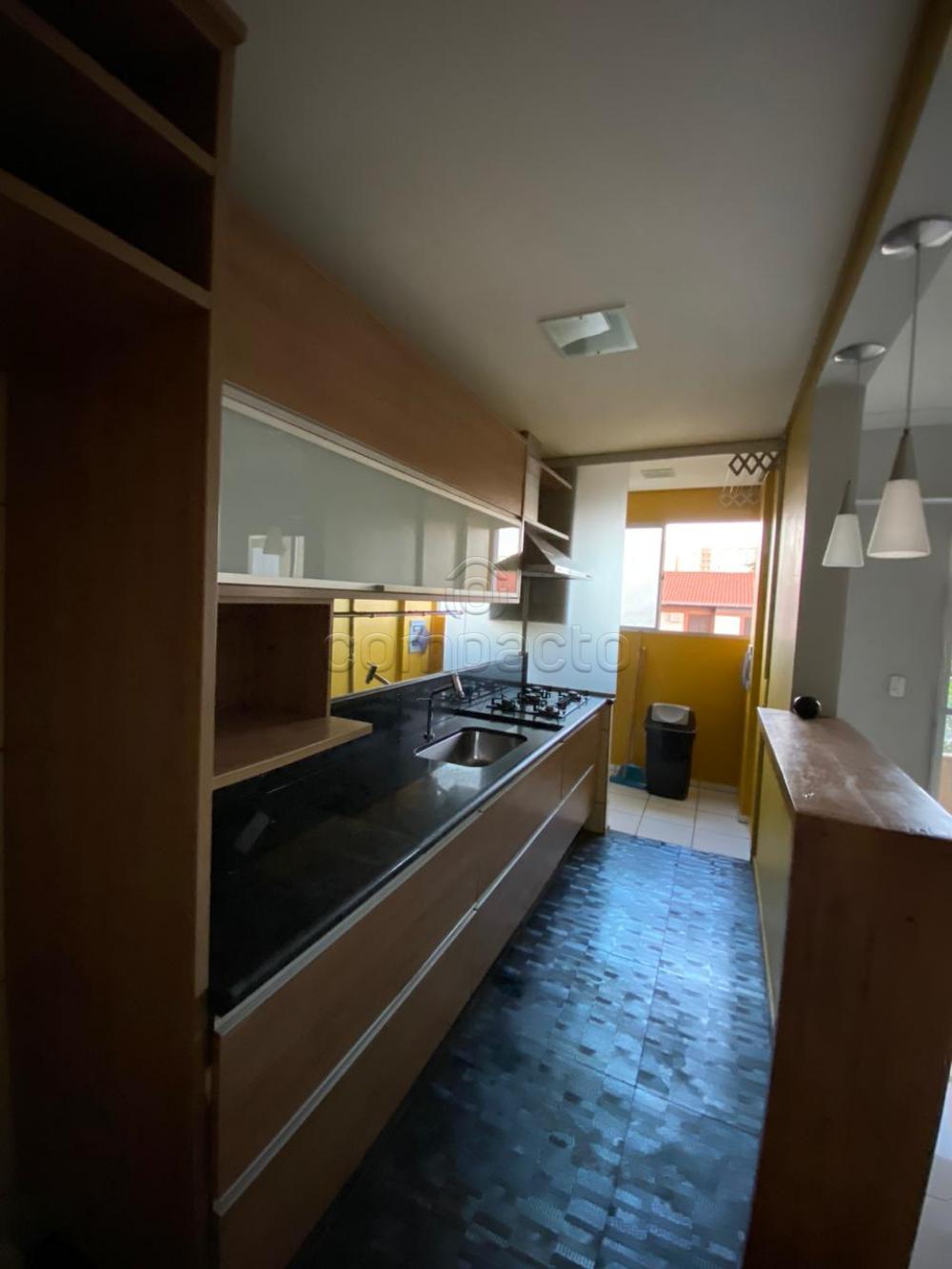 Alugar Apartamento / Padrão em São José do Rio Preto apenas R$ 1.250,00 - Foto 16 Alugar Apartamento / Padrão em São José do Rio Preto apenas R$ 1.250,00 - Foto 16
