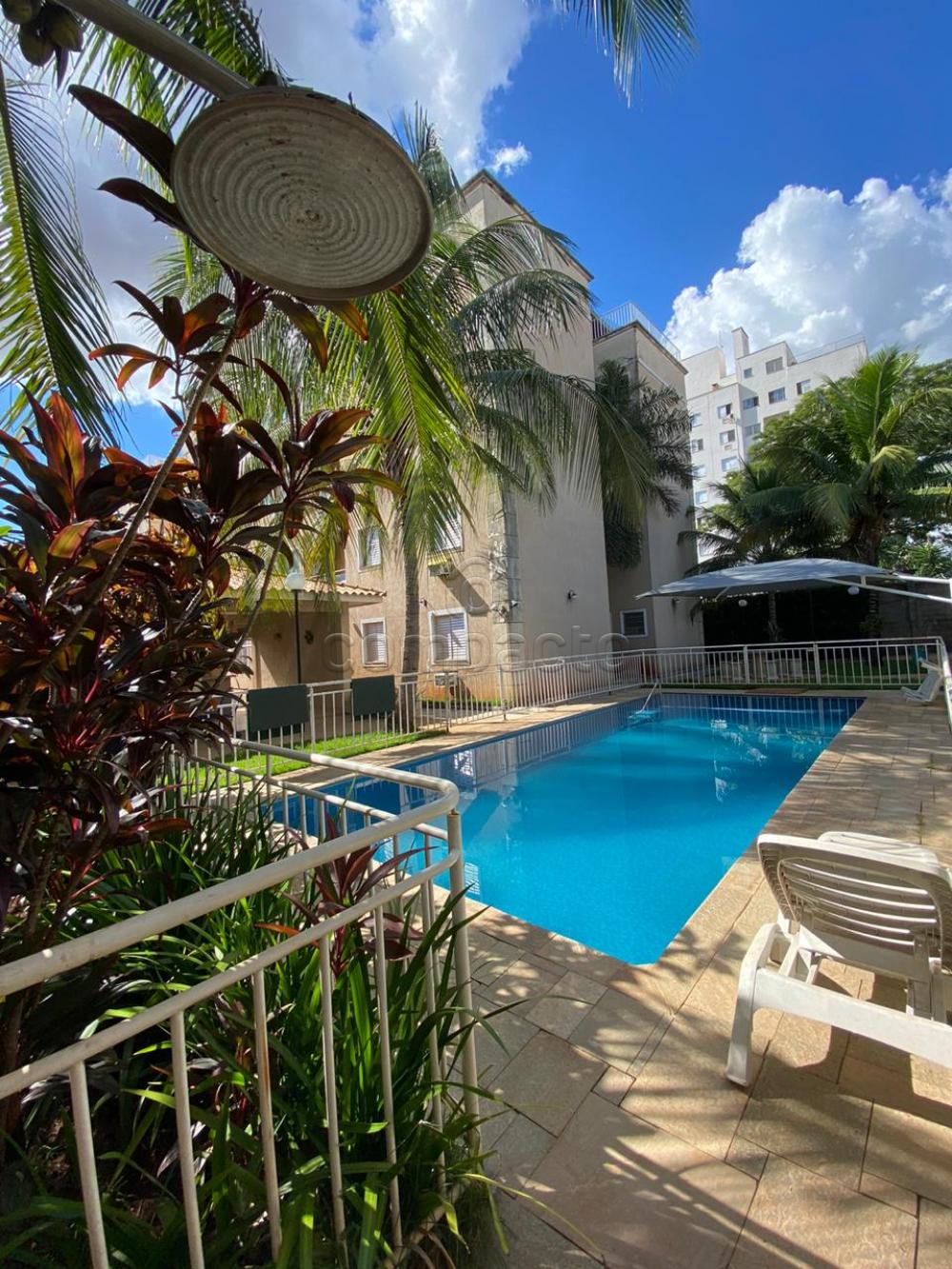Alugar Apartamento / Padrão em São José do Rio Preto apenas R$ 1.250,00 - Foto 19 Alugar Apartamento / Padrão em São José do Rio Preto apenas R$ 1.250,00 - Foto 19