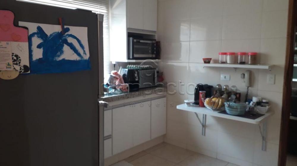 Alugar Casa / Condomínio em São José do Rio Preto apenas R$ 2.500,00 - Foto 11 Alugar Casa / Condomínio em São José do Rio Preto apenas R$ 2.500,00 - Foto 11