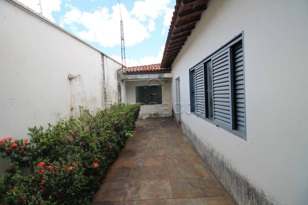 Alugar Comercial / Casa em São José do Rio Preto apenas R$ 4.500,00 - Foto 23 Alugar Comercial / Casa em São José do Rio Preto apenas R$ 4.500,00 - Foto 23