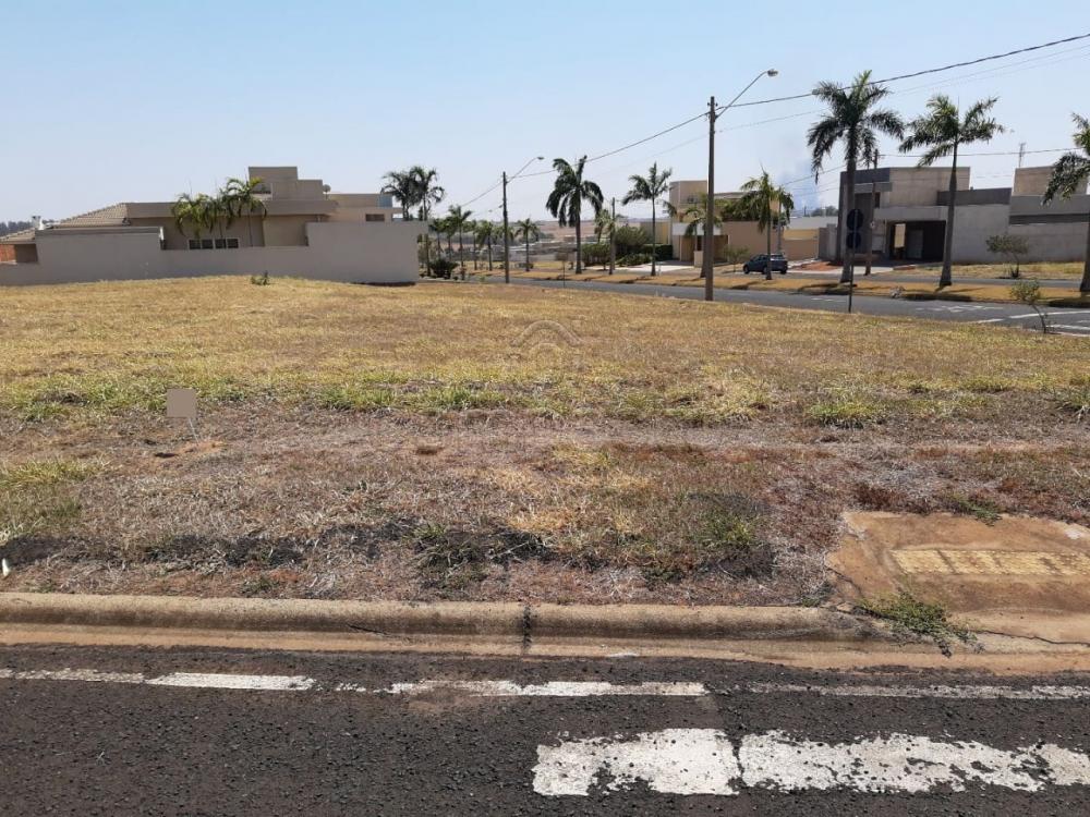 Comprar Terreno / Condomínio em Mirassol apenas R$ 125.000,00 - Foto 1 Comprar Terreno / Condomínio em Mirassol apenas R$ 125.000,00 - Foto 1