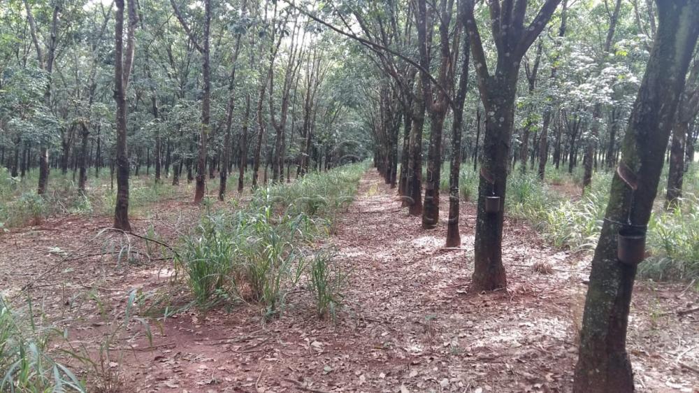 Comprar Terreno / Área em Frutal apenas R$ 3.600.000,00 - Foto 2 Comprar Terreno / Área em Frutal apenas R$ 3.600.000,00 - Foto 2